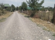 Satılır 24 sot torpaq Qəbələ