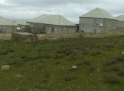 Satılır 10 sot torpaq Hökməli