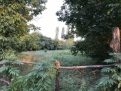 Satılır 22 sot torpaq İsmayıllı