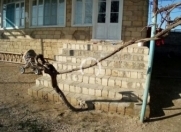 Satılır 4 otaqlı 100 m2 həyət evi Türkan