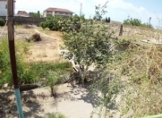 Satılır 10 sot torpaq Türkan