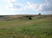 Satılır 435 sot torpaq Perekeşkül