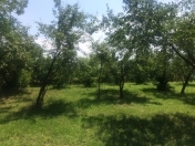 Satılır 32 sot torpaq Quba