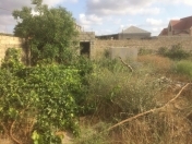 Satılır 7 sot torpaq Bilgəh