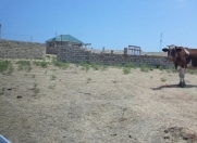 Satılır 15 sot torpaq Saray