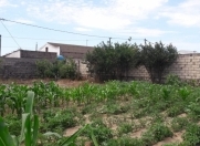 Satılır 4 otaqlı 75 m2 bağ evi Zirə