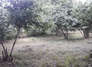 Satılır 20 sot torpaq Quba