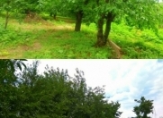 Satılır 8 sot torpaq Quba