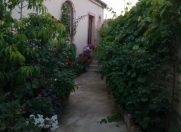 Satılır 2 otaqlı 61 m2 həyət evi Binə