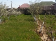 Satılır 11 sot torpaq Albalı