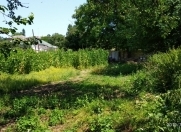 Satılır 9 sot torpaq Quba