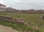 Satılır 5 sot torpaq Türkan