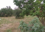 Satılır 10 sot torpaq Qusar