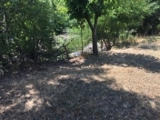 Satılır 1500 sot torpaq Zaqatala