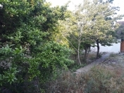 İcarəyə verilir 3 otaqlı 100 m2 həyət evi Neapol dairəsi