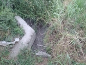 Satılır 150 sot torpaq Xaçmaz