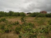 Satılır 12 sot torpaq Novxanı