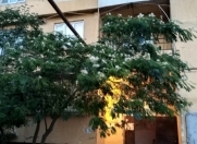 Satılır 3 otaqlı 75 m2 köhnə tikili Köhnə Günəşli