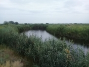 Satılır 780 sot torpaq Saatlı