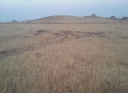 Satılır 8 sot torpaq Fatmayı