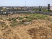 Satılır 12 sot torpaq Buzovna