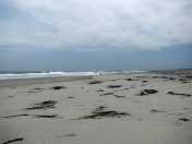 Satılır 200 sot torpaq Astara