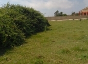 Satılır 30 sot torpaq Lənkəran