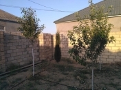 Satılır 7 sot torpaq Novxanı