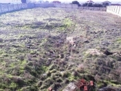 Satılır 29 sot torpaq Bilgəh