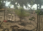 İcarəyə verilir 3 otaqlı 120 m2 obyekt Məhəmmədli