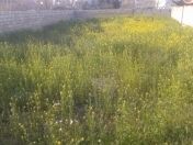 Satılır 4 sot torpaq Novxanı