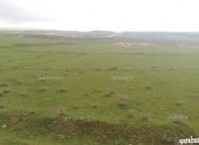 Satılır 6 sot torpaq Digah