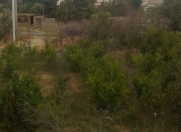 Satılır 4 sot torpaq Saray