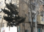 İcarəyə verilir 1 otaqlı 30 m2 köhnə tikili Nəriman Nərimanov m.