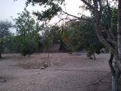 Satılır 30 sot torpaq Türkan