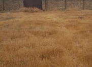 Satılır 10 sot torpaq Zağulba