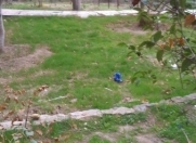 Satılır 8 sot torpaq Ceyranbatan