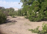 Satılır 5 sot torpaq Sumqayıt