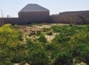 Satılır 3 sot torpaq Ramana