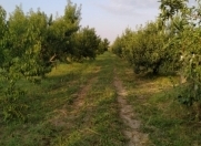 Satılır 200 sot torpaq Xaçmaz