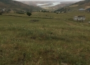 Satılır 24 sot torpaq Siyəzən