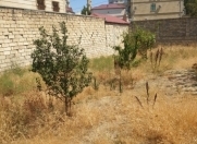 Satılır 6 sot torpaq Heydər Məscidi