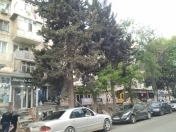 Satılır 1 otaqlı 35 m2 köhnə tikili Memar Əcəmi m.