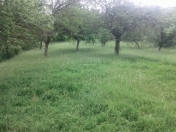 Satılır 30 sot torpaq Quba