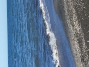 İcarəyə verilir 1 otaqlı 30 m2 köhnə tikili 6 mkr