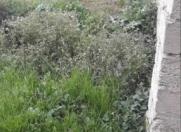 Satılır 1.8 sot torpaq Qaraçuxur