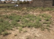 Satılır 6 sot torpaq Digah