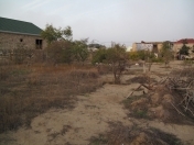 Satılır 24 sot torpaq Albalı