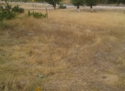 Satılır 10 sot torpaq Naxçıvan