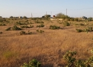 Satılır 50 sot torpaq Zirə